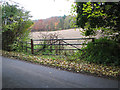 View across field to Cobb's Hill in NR8 5BG