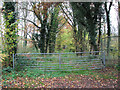 Gated track to the River Wensum in NR8 5BG