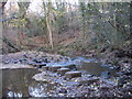 Stepping stones near Throstle Nest Farm in YO22 5DU