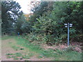 Crossing of paths Potterhanworth Wood in Potter Hanworth