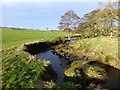 Red Burn runs through pasture in Eglingham