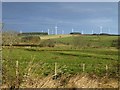 Looking north from the bridleway in Eglingham