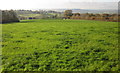Field, Lower Beavor in EX13 5RY