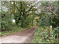 Old Litten Lane - the end of the tarmac in GU33 6LP