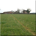 Footpath, Field and Farm, near Bobbington, Staffordshire in DY7 5ER