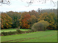 Stroudbridge Copse in GU32 1RB
