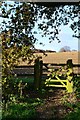 Gate into field near High Dell Farm in Bighton
