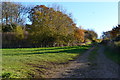 Track at field edge, near High Dell Farm in Bighton