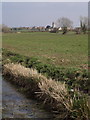 Edge of the Somerset levels: Cook's Rhyne, looking towards East Lyng in TA3 5AS
