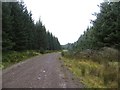 Logging road, Araburn Rig in ML10 6PP