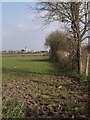 View beside disused railway, Lyng in TA3 5AS