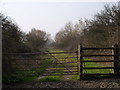 Disused railway, Lyng in TA3 5AS