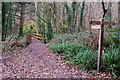 Footbridge over the River Seaton in PL11 3DH