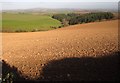 Ploughed field east of Narkurs in PL11 3DP