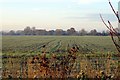 Arable field near East Hanney in OX12 0HS