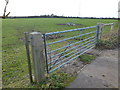 Paddock gate south of West Winch in PE33 0PX