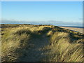 Dunes at Winterton-at-Sea in NR29 4BQ