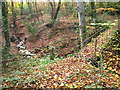 Footbridge and stream in autumn woodland in Brymbo Community
