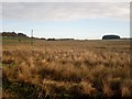 Rough grassland near Troutbeck in CA11 0SL