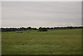 Landscape near Little Hallingbury in CM22 7UT