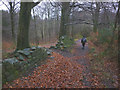 Bridleway above Dean Brook in BB7 9QR