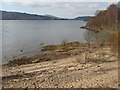 Beach, north side of Loch Rannoch in PH17 2YA