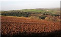 Ploughed field near Tredis in PL11 3EU