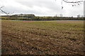 Arable field east of the Fosse Way in GL54 3JL