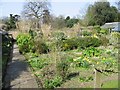 The walled garden, Quex Park in CT7 0BQ