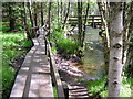 Footbridge across Coy Burn. in AB31 5JL