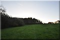 East Devon : Grassy Field in EX4 0AA