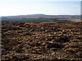Across the moorland to Laide Wood in IV22 2ND