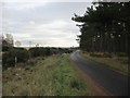 Minor road by Carse Wood in IV2 7QA