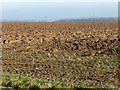 Newly ploughed field, west of Peckfield House Farm in LS25 7FH