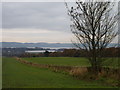 Down towards the Tay in DD2 5SH