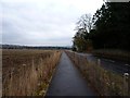Cycle track to New Mill of Gray in DD2 5GT