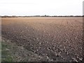 Newly ploughed field, Dodds Farm in Pawlett