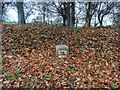 Old milestone in autumn leaves in SG8 8DH
