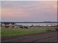 Marsh Barn and flooding on Deepdale Marsh in PE31 8DU