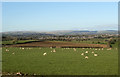 Farmland south of Laleston in Merthyr Mawr Community