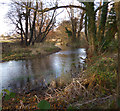 River Pang near Bradfield Hall in RG7 6JT