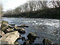 View of the River Aire downstream of the weir in LS13 2LP