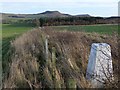 Trig point above Pilmoor Wood in NE66 4PZ