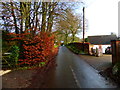 Looking north on College Lane in RG25 2QL
