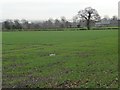 Farmland north-west of Roadside Farm in CW11 2SW