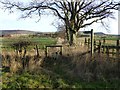 Stile and footpath to Bewick Bridge in NE66 4EB