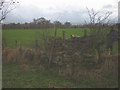 Stile in short stub of wall, Washber Hill in CA17 4PH