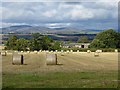 Round bales, Glamis in DD8 1UF