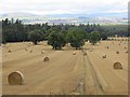 Round bales, Glamis in DD8 1UA
