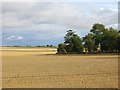 Arable land near Todhills in DD4 0PZ